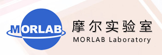 MORLAB Group