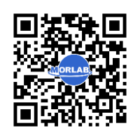 MORLAB线上研讨会-5G NR法规更新/毫米波测试/功率密度测试/WiFi 6E