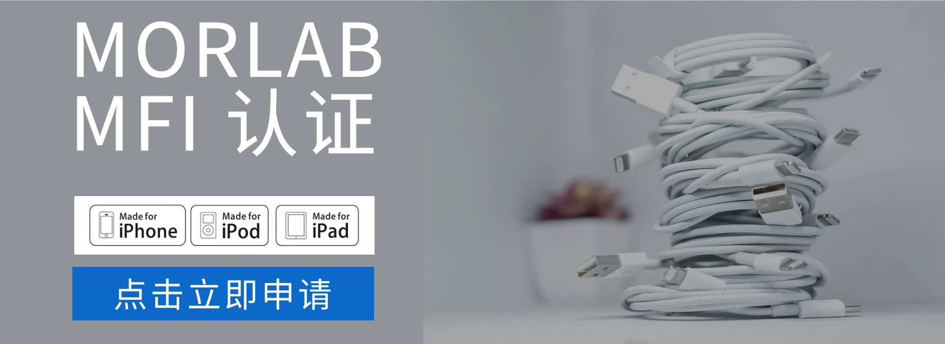 WIFI 认证