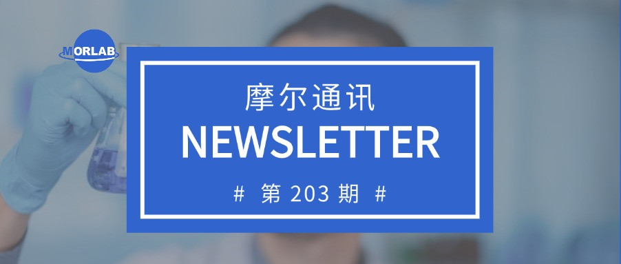 摩尔通讯第两百零三期 July.2024