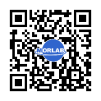 【研讨会】聚焦法规升级，打破技术壁垒 ——2025化学环保法规更新和企业应对策略 摩尔实验室网络研讨会