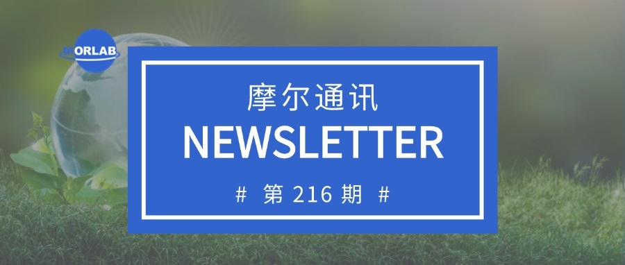 摩尔通讯第两百一十六期 Aug.2025