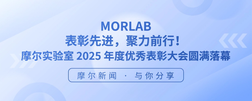 审时度势，顺势而为！ 摩尔实验室 2025 年度优秀表彰大会圆满举行